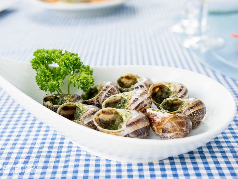 Escargots - Coquilles