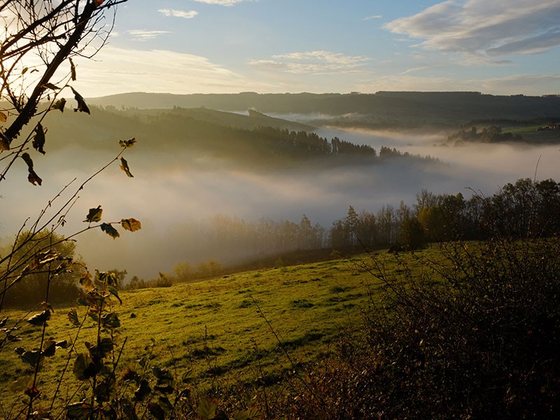 Parc Naturel de l'Our