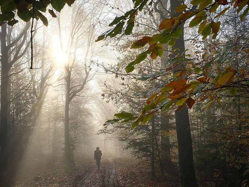 Natuurpark van de Our