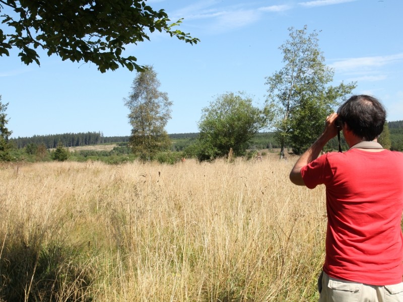 Nature-Wellness - Programme | © FTPL-Patrice Fagnoul