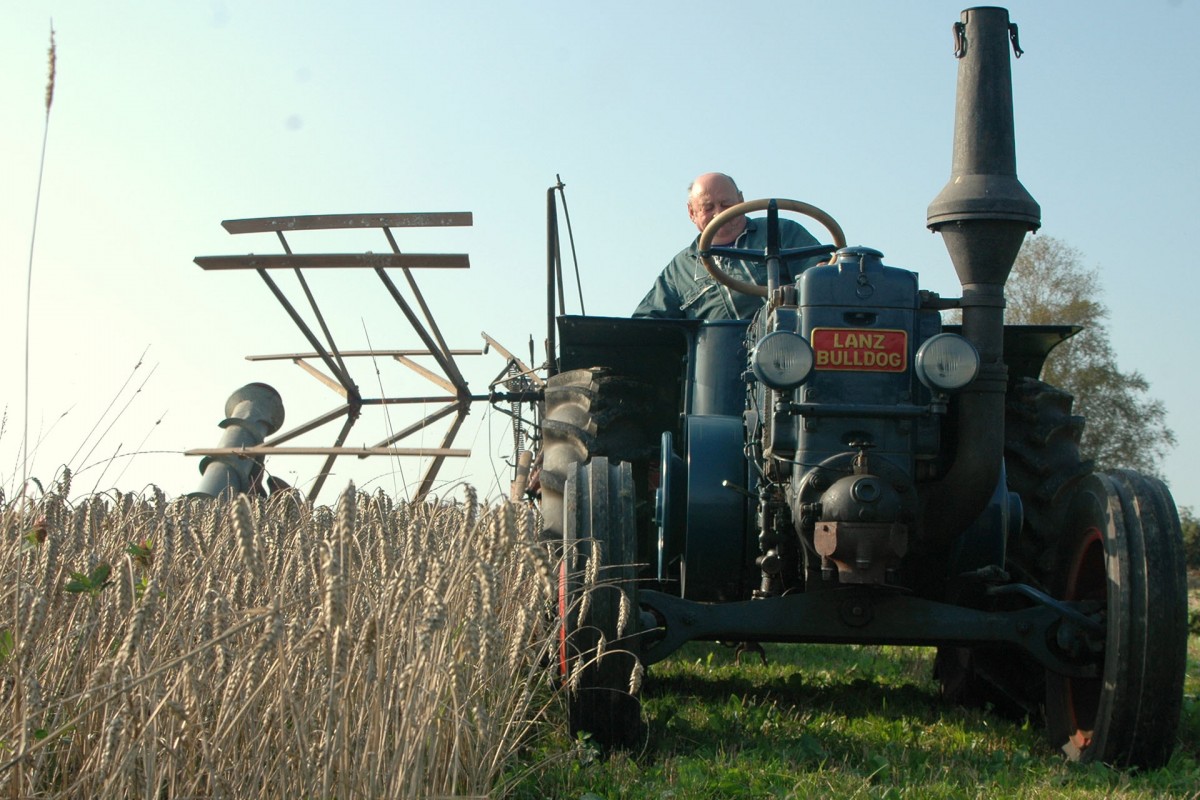 Agri-musée de Rochehaut - Moissons