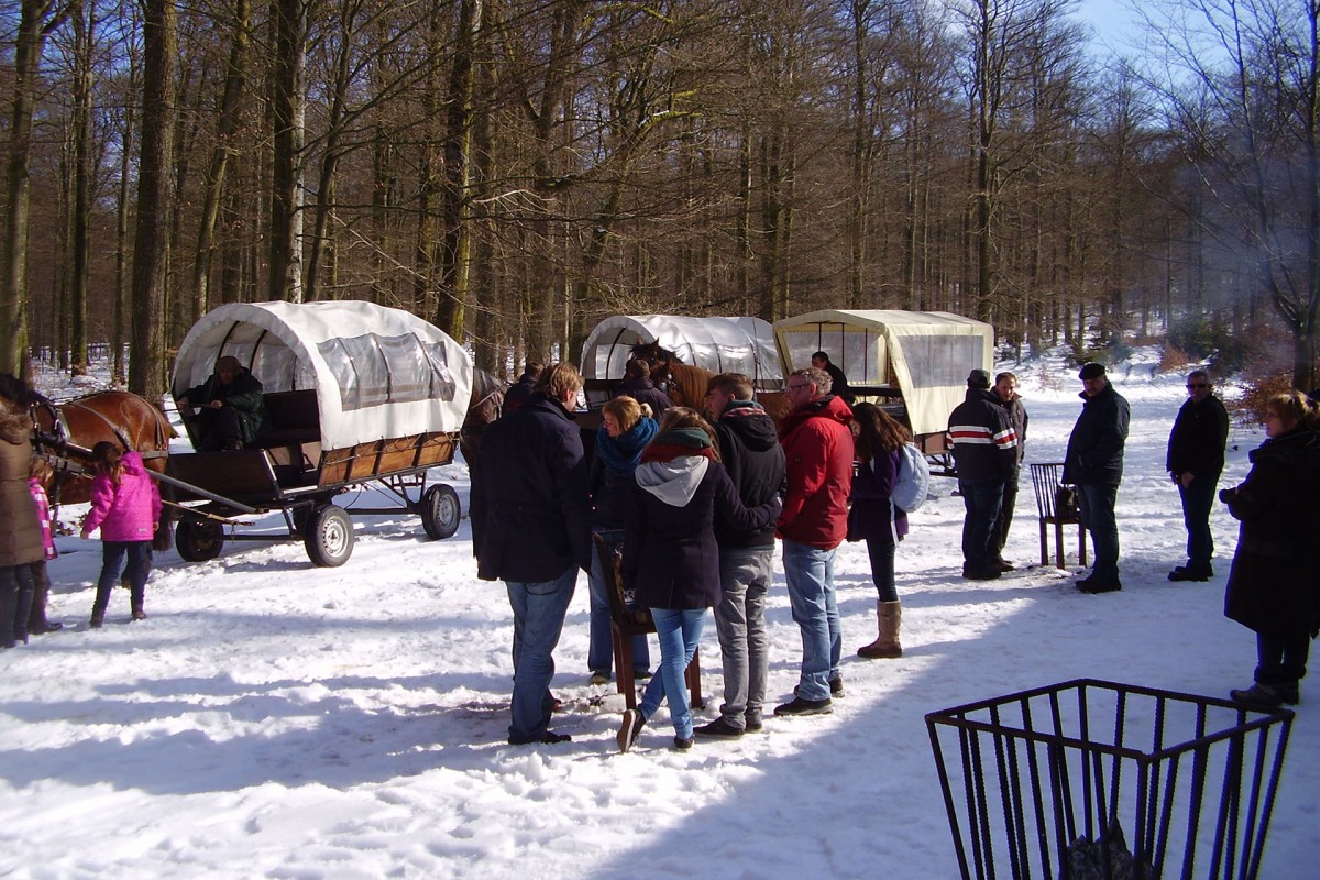 Ardenne Plaisir - Balade en calèche