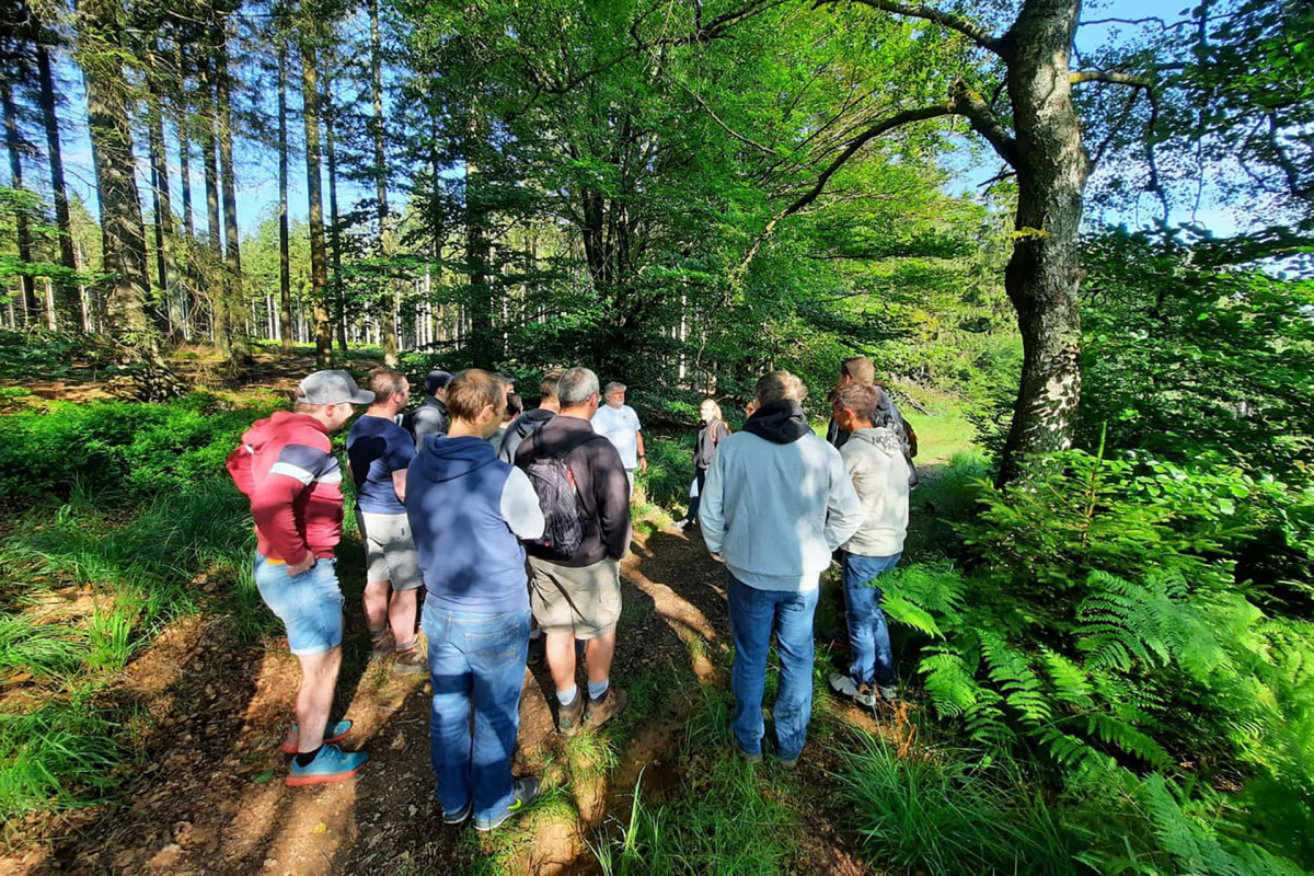 Ardenne Plaisir - Group walk - Forest