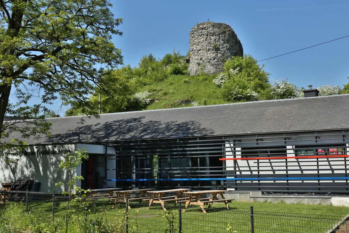 Ruinen der mittelalterlichen Burg von Moha