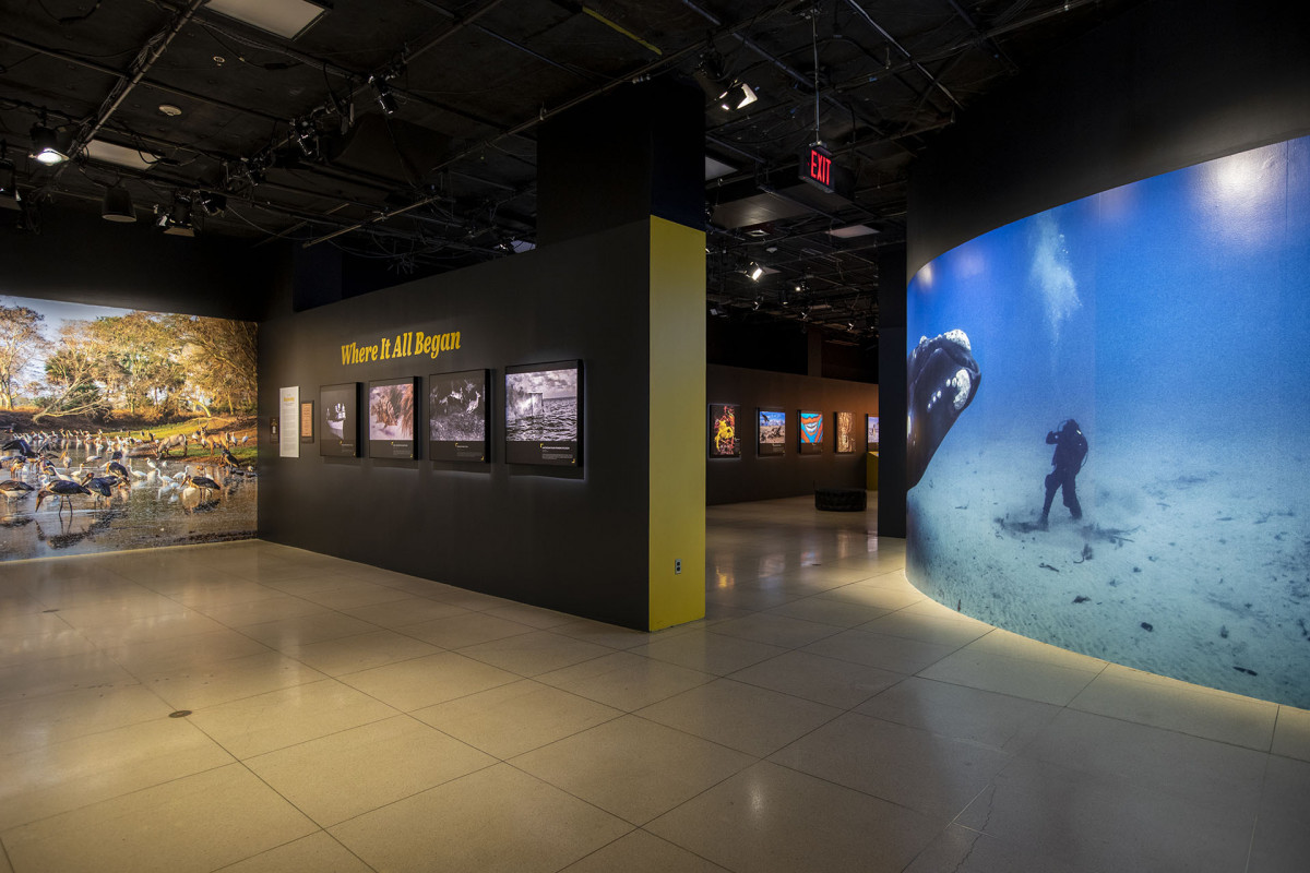 Ausstellung National Geographic
