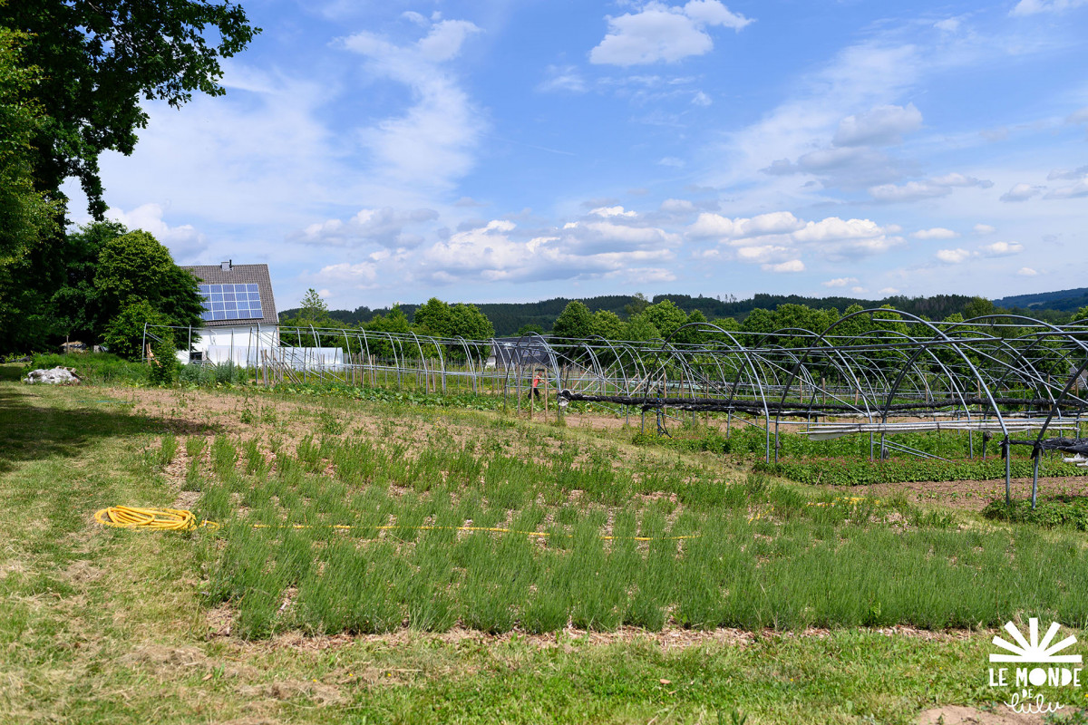 La Framboiserie de Malmedy - Algemeen beeld