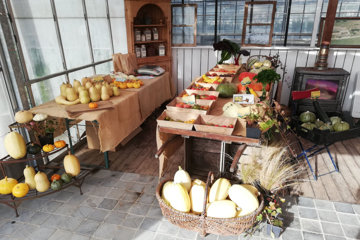 Les Roses de Daniel -  Market garden on permanent beds - Heirloom tomatoes and other vegetables