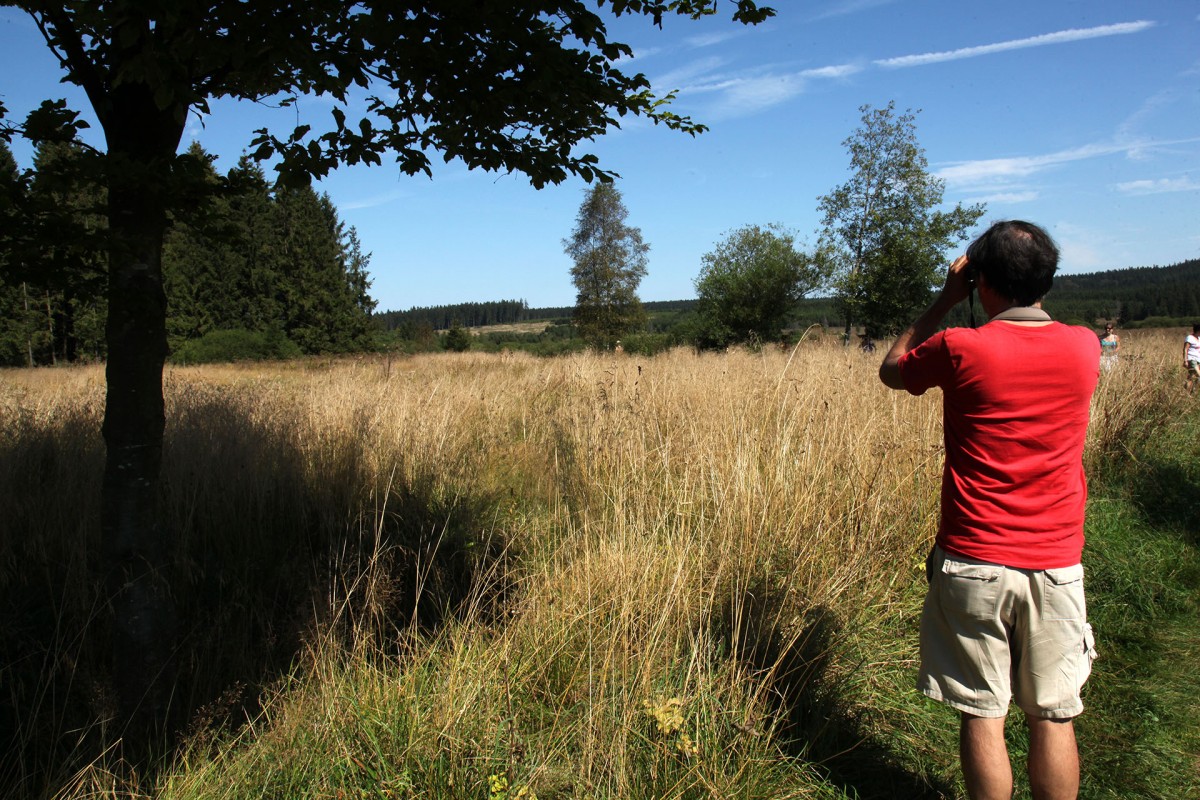 Natuurpark Hoge Venen-Eifel