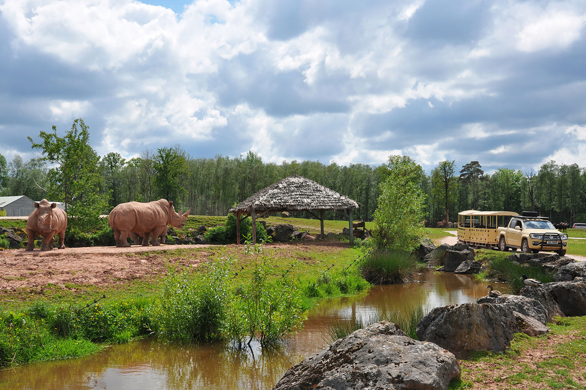 Monde Sauvage Safari - Aywaille - Safari trail - Mini train - Rhinos