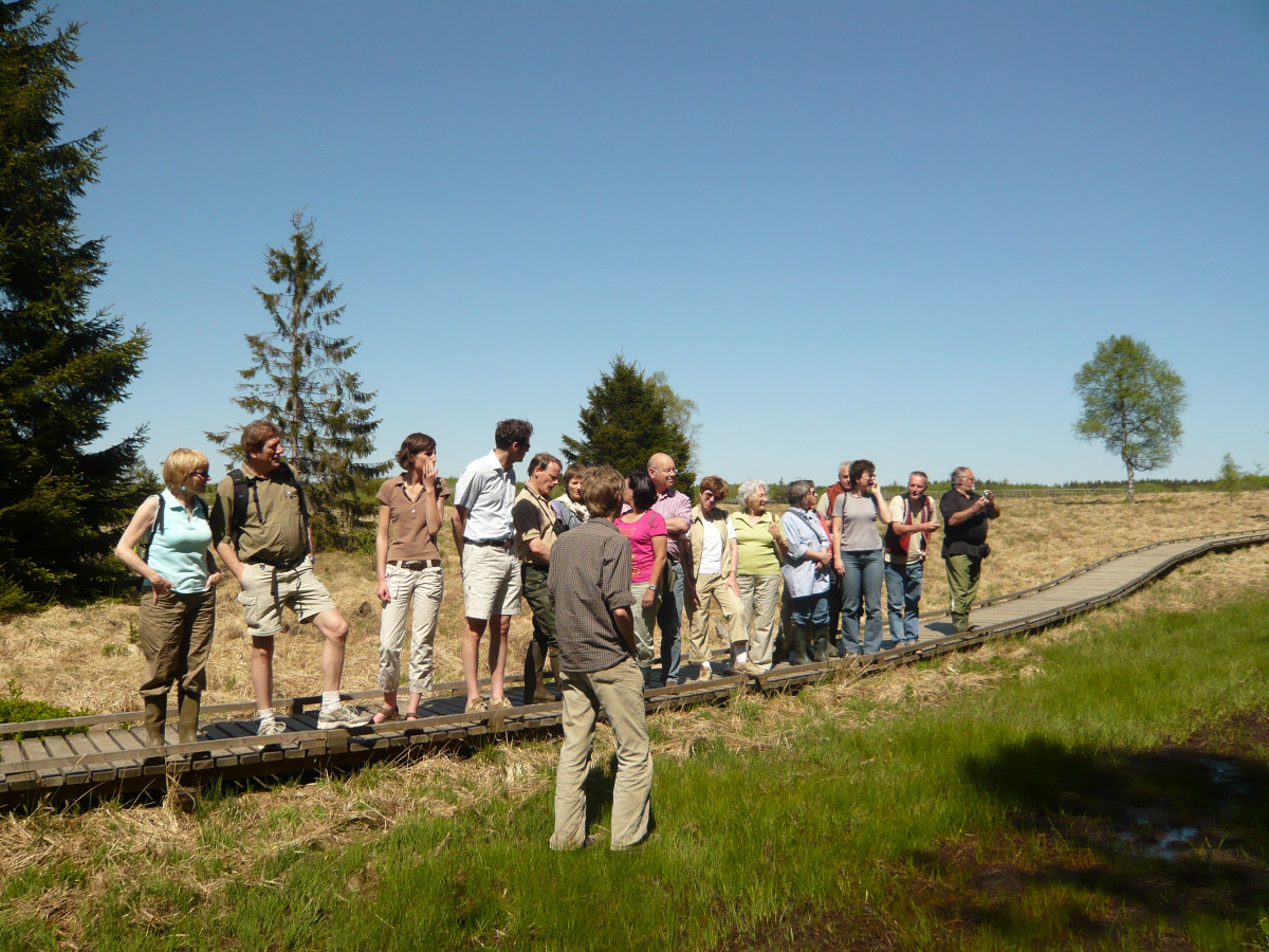 31 - promenade guidees © parc naturel hautes fagnes eifel