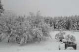 Auberge du Carrefour - Exterior - Winter