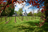 Château de Bioul - Bioul - Domaine