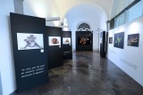 Exhibition - National Geographic, Photo Ark - Joël Sartore - Stavelot Abbey