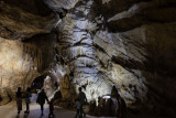Caves of Remouchamps - Room - La Grande Draperie