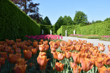 Jardins d'Annevoie - Annevoie-Rouillon - Site