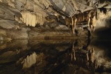 Les Grottes de Han - Han-Sur-Lesse - Grotte