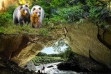 Grotten von Han - Tierpark - Höhle