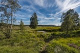 Die Hautes-Fagnes