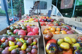 Les Roses de Daniel - Heirloom tomatoes - Landscape view