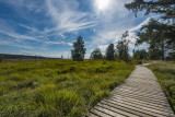 Haus des Naturparks Hohes Venn-Eifel - Spaziergang durch das Venn