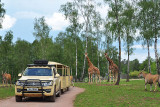 Monde Sauvage Safari Parc - Aywaille - Gruppenbesichtigung mit dem kleinen Zug