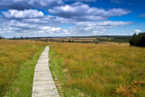 High Fen Nature Park House - Waimes - Hiking Trail - © Parc naturel Hautes Fagnes-Eifel High Fen Nature Park House - Waimes - Hiking Trail