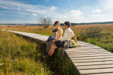 Parc Naturel Hautes Fagnes Eifel - Waimes - Randonnees