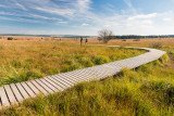 Parc Naturel Hautes Fagnes Eifel - Waimes - Randonnees