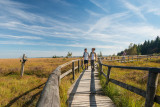 Parc Naturel Hautes Fagnes Eifel - Waimes - Randonnees