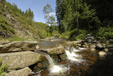 Parc Naturel Hautes Fagnes Eifel - Waimes - CascadeBayehon