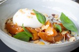 R hotel experiences - UMAMI restaurant & bar - E-Burrata abricots