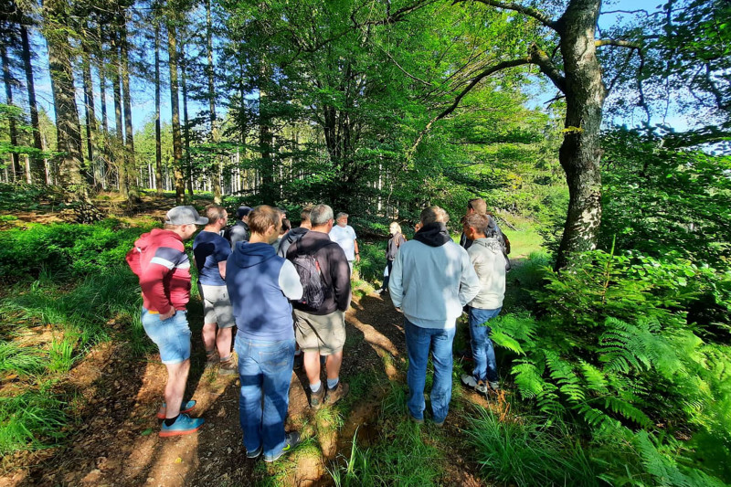 Ardenne Plaisir - Group walk - Forest