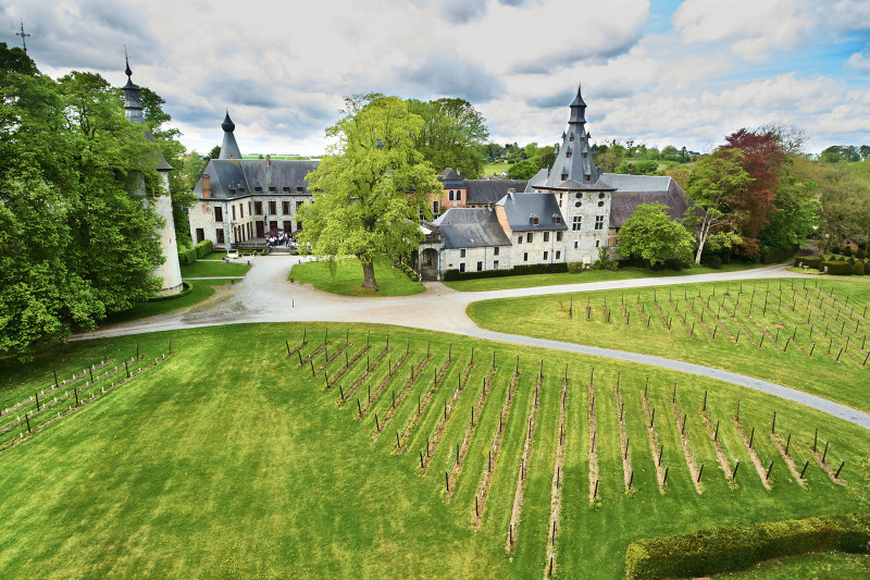 Château de Bioul - Bioul - Domaine