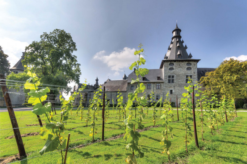 Schloss Bioul - Blick auf die Weinberge