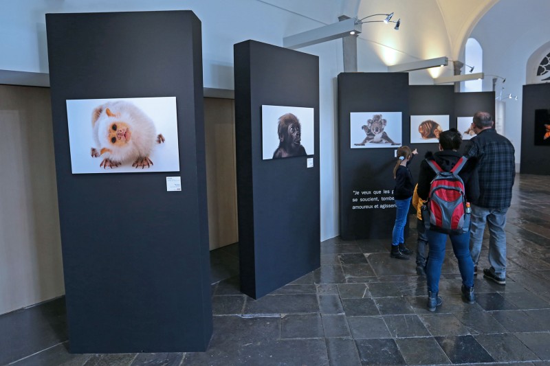 Ausstellung - National Geographic, Photo Ark - Joël Sartore - Abtei von Stavelot