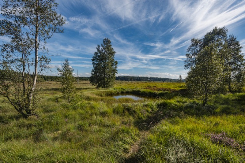 Les Hautes Fagnes