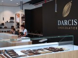 Darcis chocolate makers