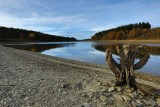 Butgenbach lake