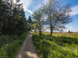 Haus des Naturparks Hohes Venn-Eifel - Spaziergang oder Fahrt in einer Char-à-Bancs-Kutsche im Hohen Venn