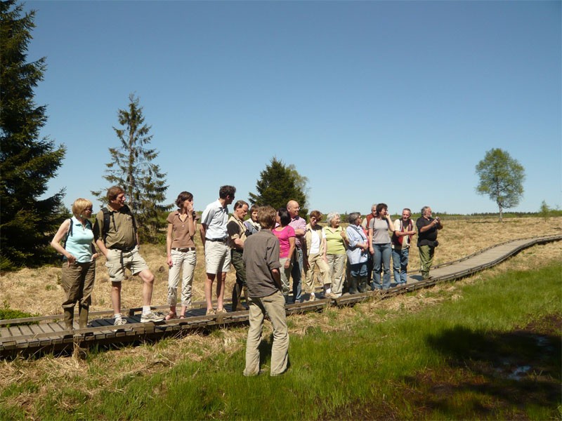 Hautes-Fagnes